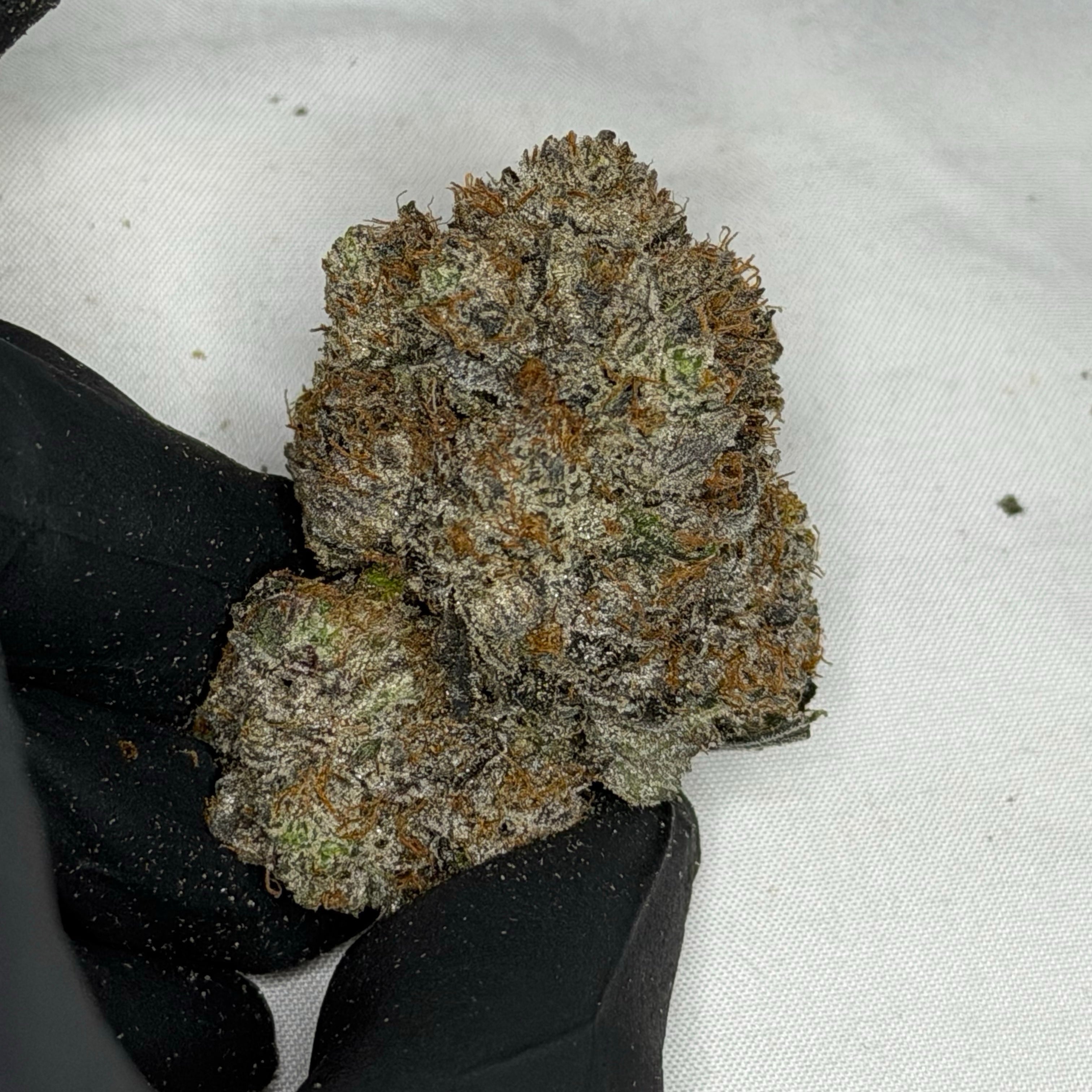 Pink Rockstar LSO ALL PRODUCTS FLOWERS INDICA