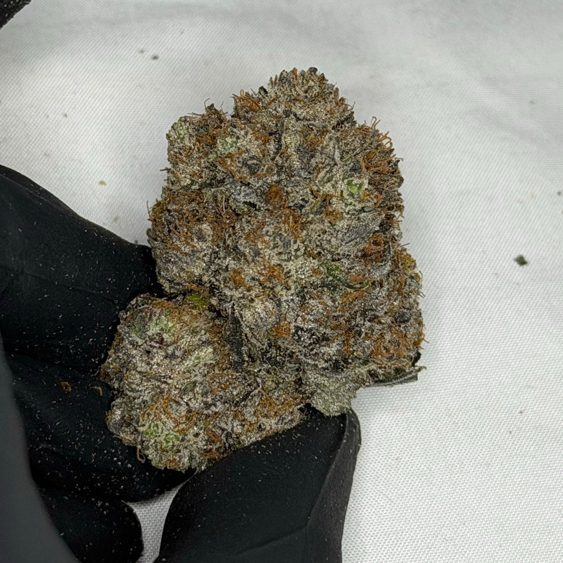 Pink Rockstar LSO ALL PRODUCTS FLOWERS INDICA