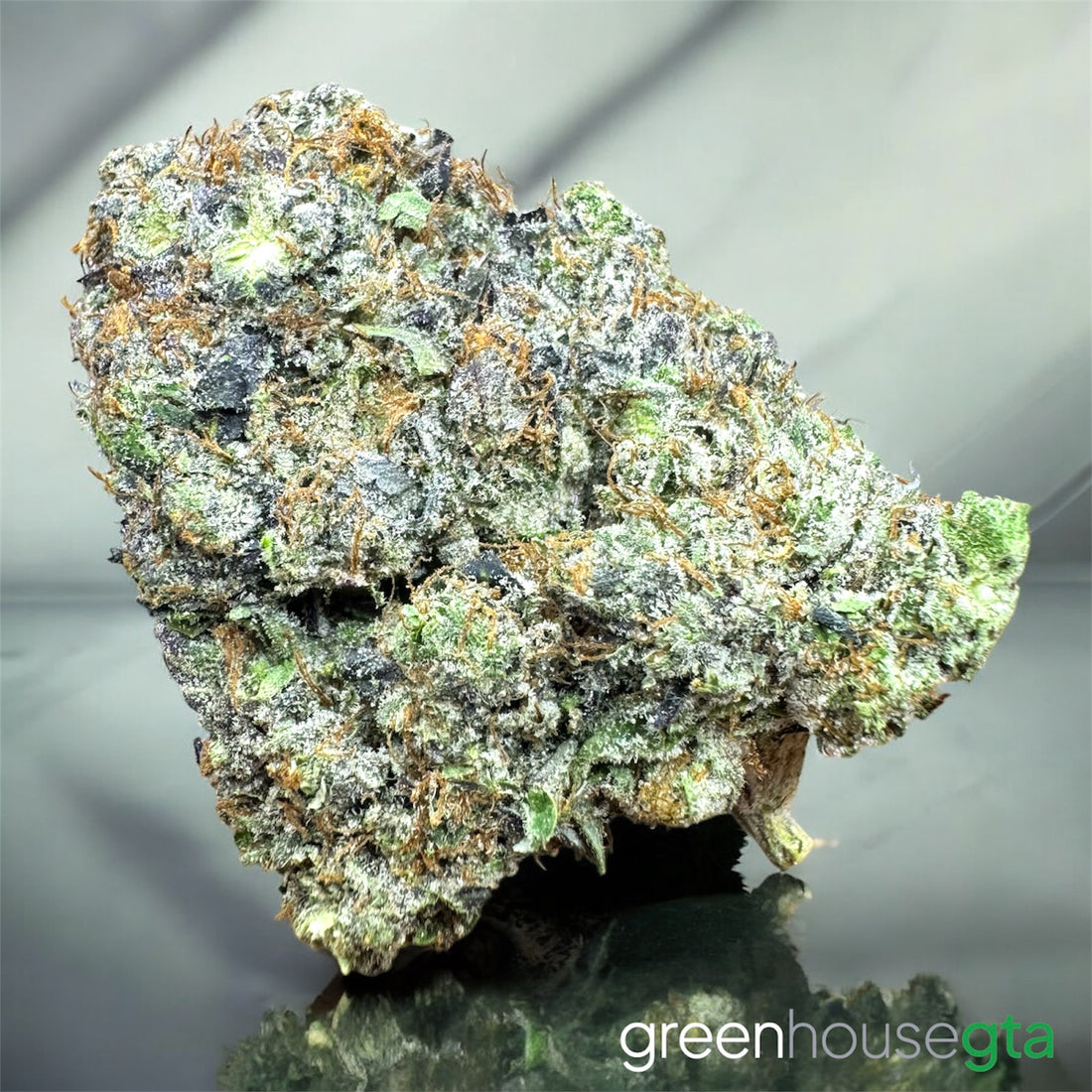 Pink Rolex AAAAA indica flower with dense frosty nug and premium crystal coverage