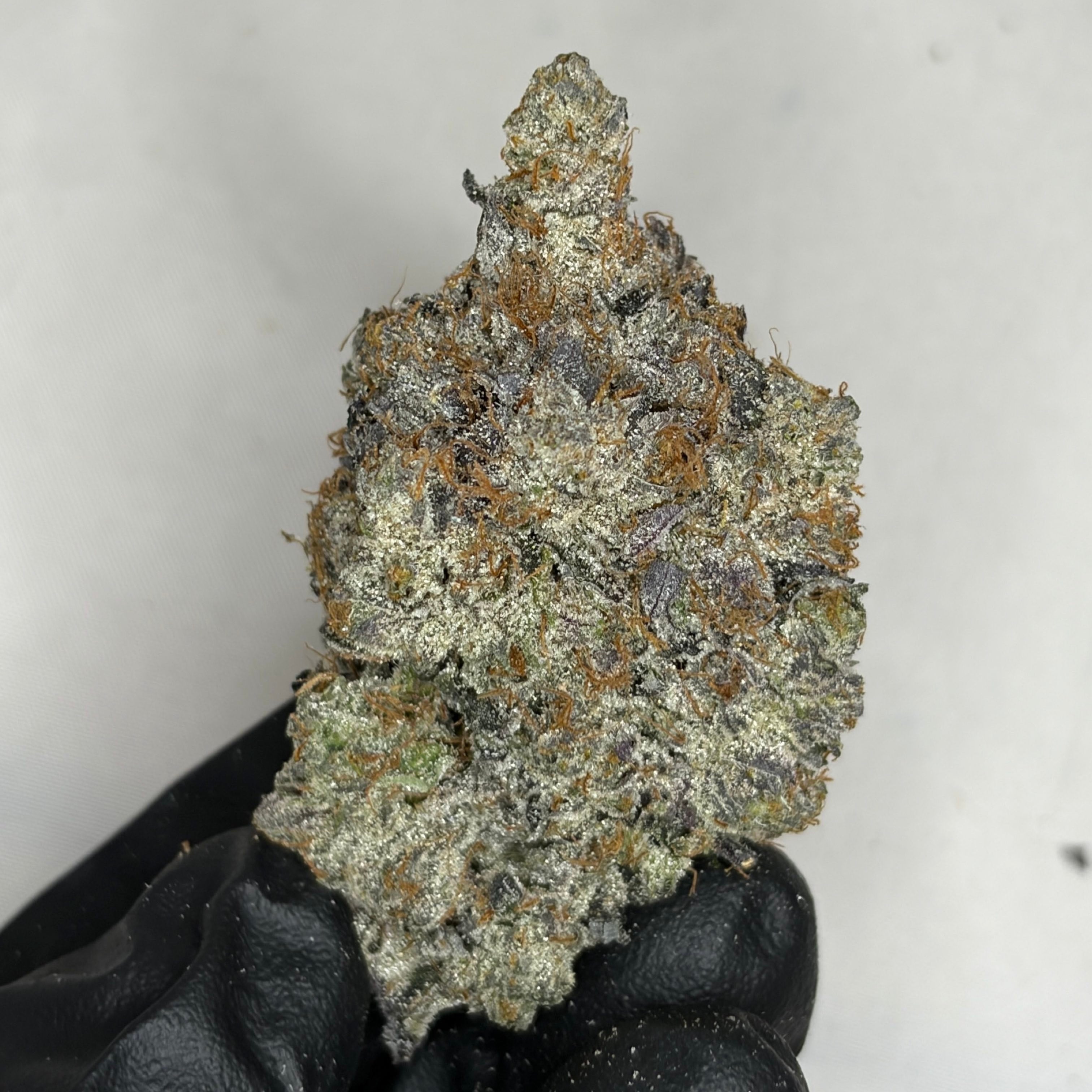 Dense frosty nug of Pink TruffleZ LSO flower – premium indica 42% THC Toronto weed delivery