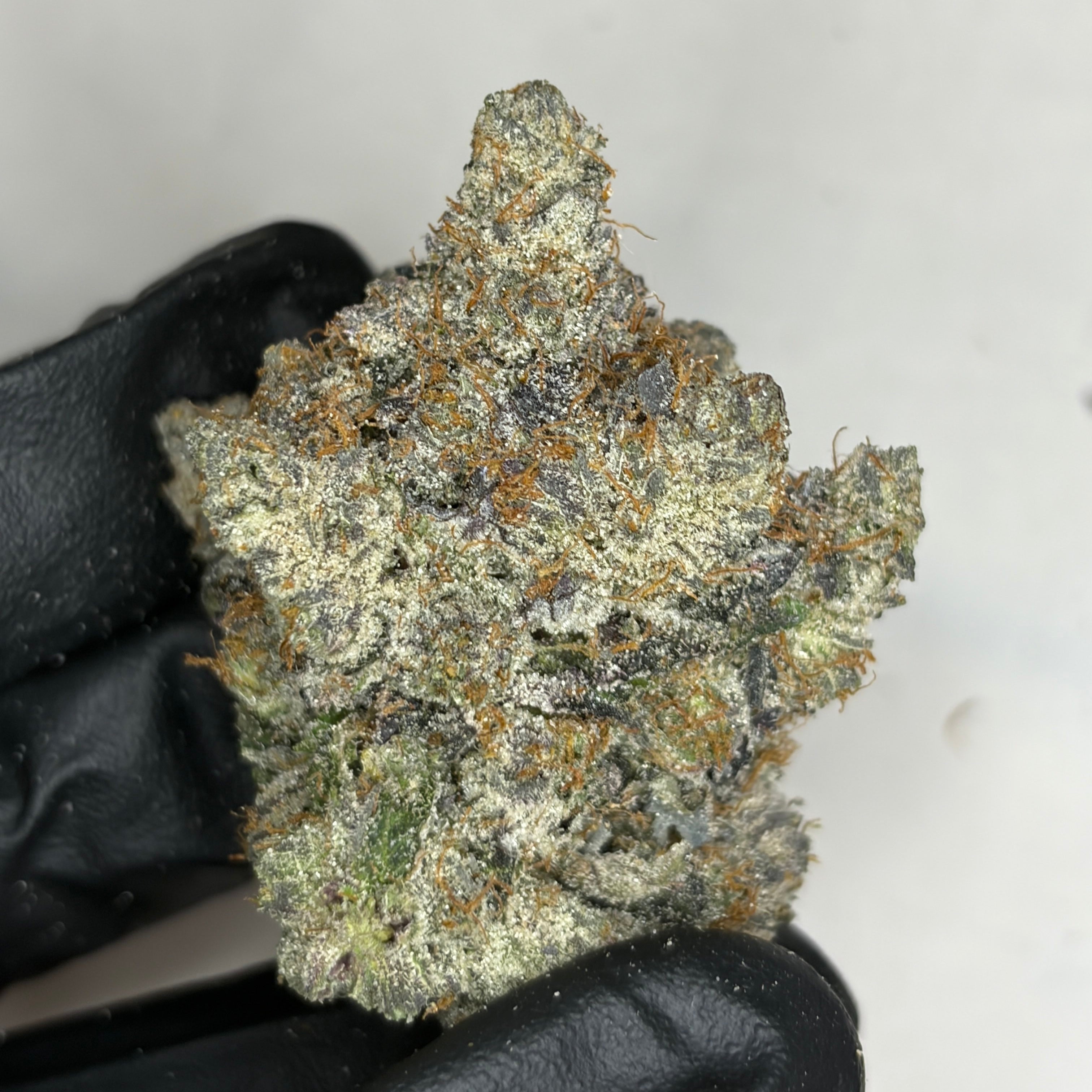 Pink TruffleZ LSO AAAAA Indica – rare luxury gas strain grown in Living Soil Organic – Toronto weed delivery