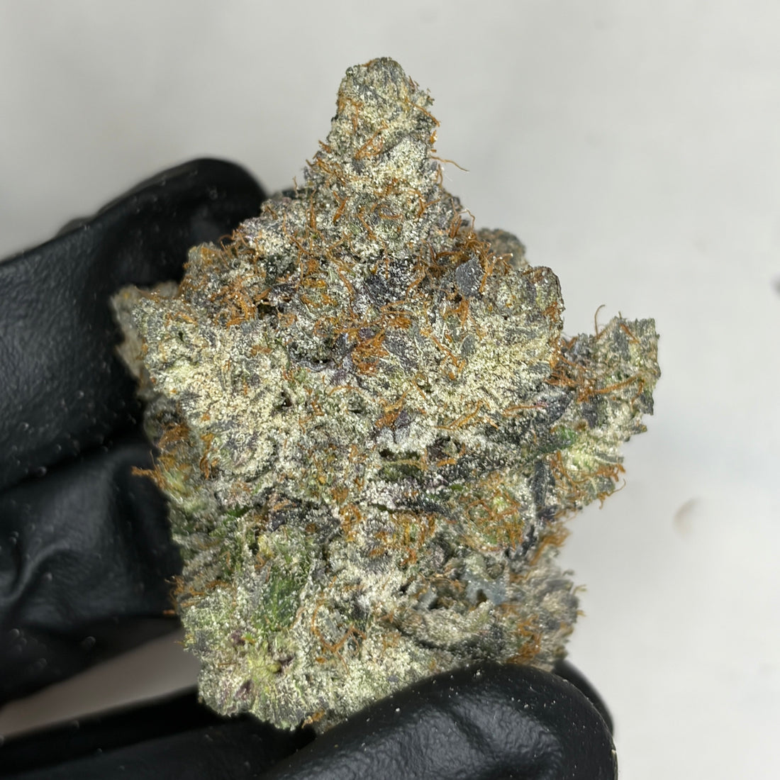 Pink TruffleZ LSO AAAAA Indica – rare luxury gas strain grown in Living Soil Organic – Toronto weed delivery