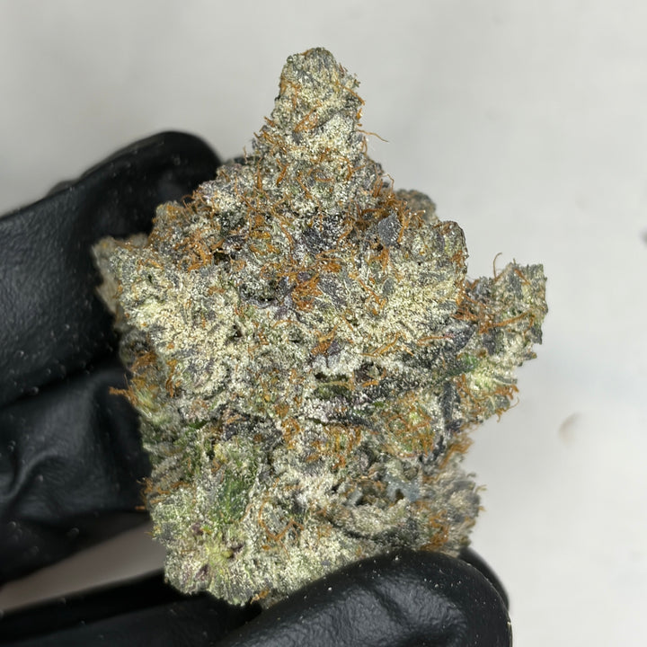 Pink TruffleZ LSO AAAAA Indica – rare luxury gas strain grown in Living Soil Organic – Toronto weed delivery