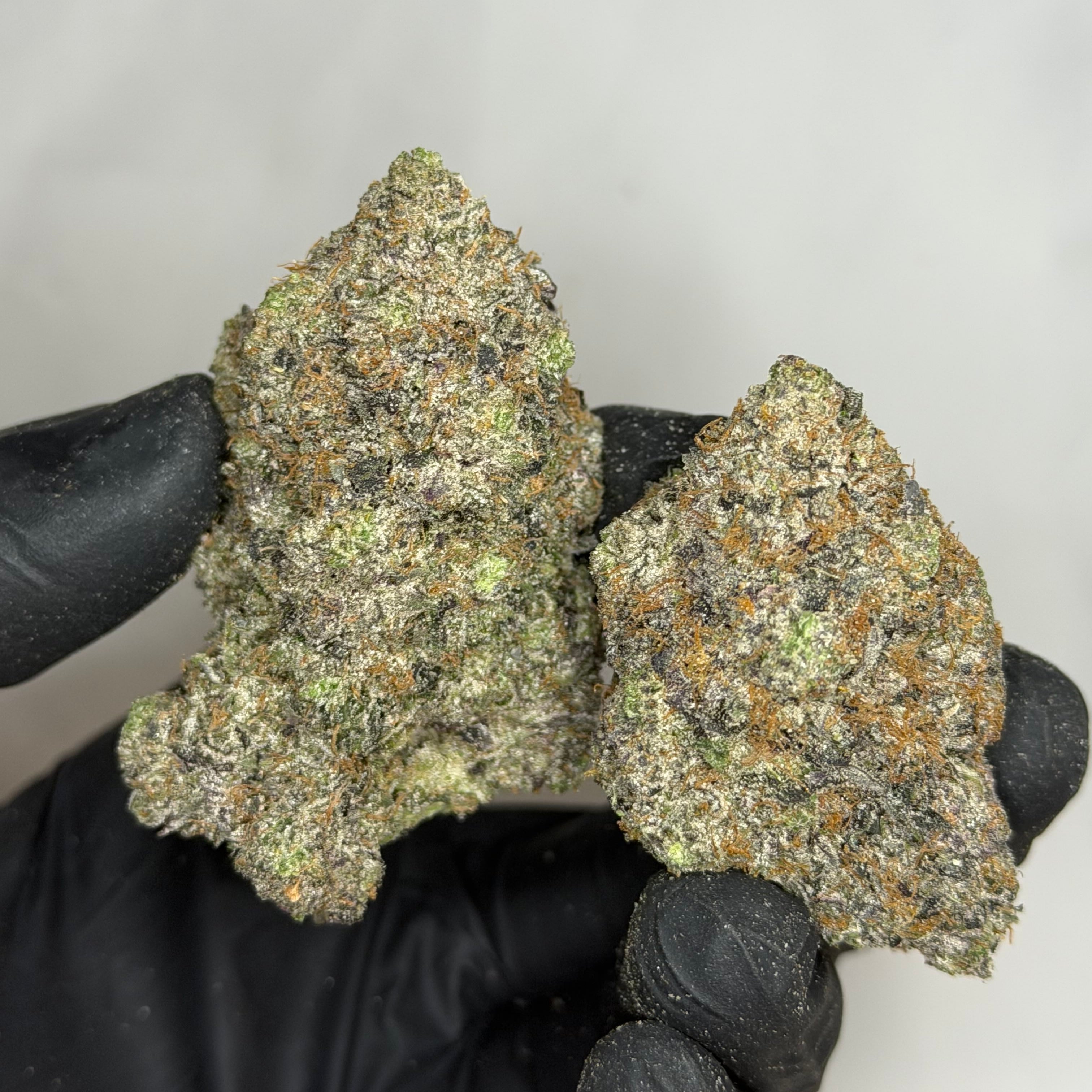 Pink Unicorn AAAAA Indica 41% THC rare super quads flower with heavy frost and dense buds – Toronto weed delivery