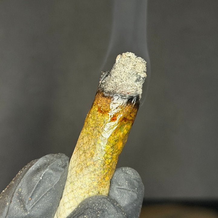 Pink Unicorn AAAAA indica joint burning white ash with smooth clean smoke – premium gas weed Toronto