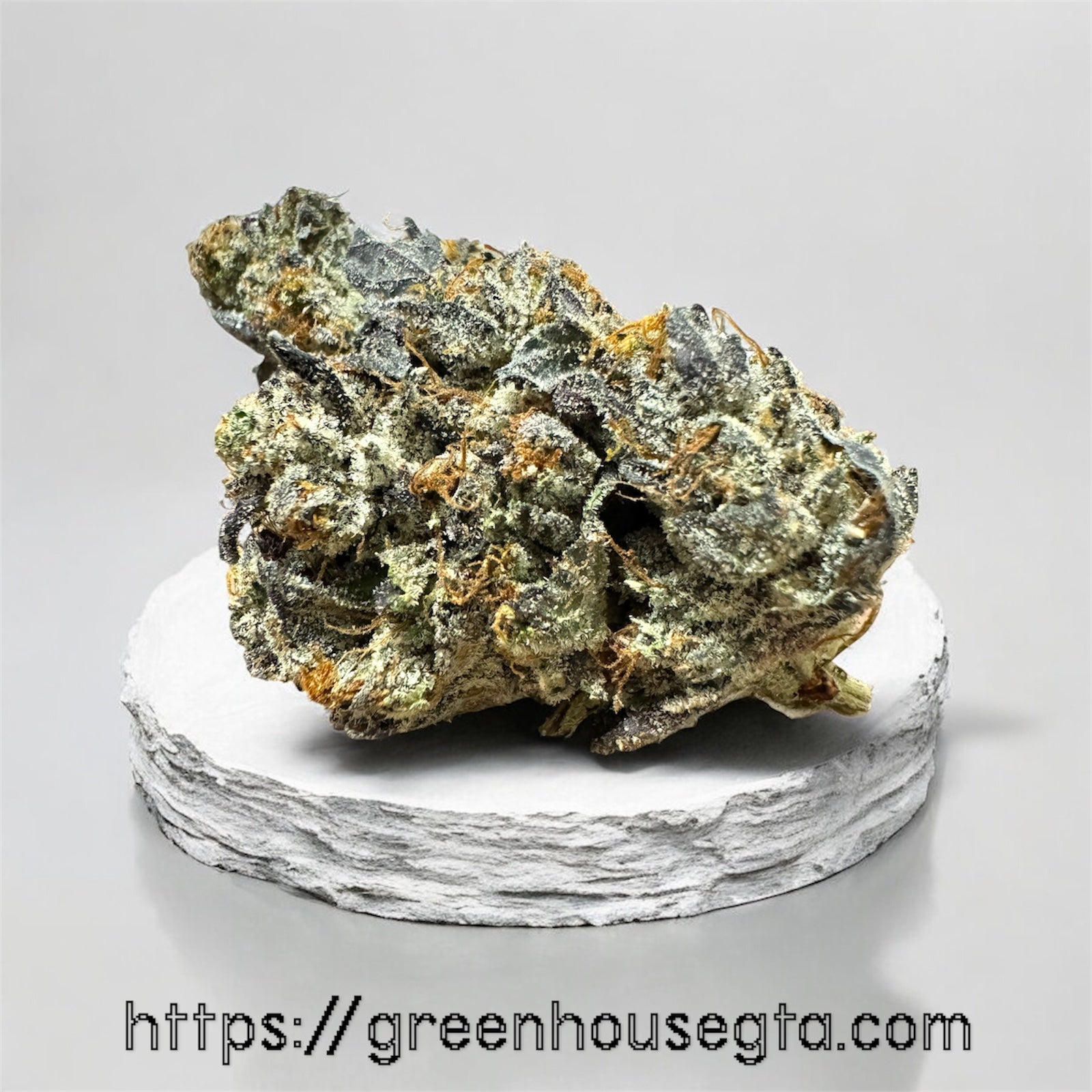 Pink Zombie AAAA+ Indica 34% THC – Fruity Gas Aroma – Weed Delivery Toronto | GreenHouseGTA