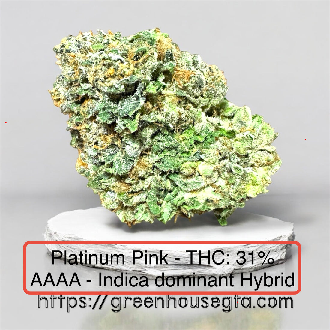 Platinum Pink - Toronto AAAA weed bud – dense frosty trichomes on light green flower – same-day cannabis delivery GTA
