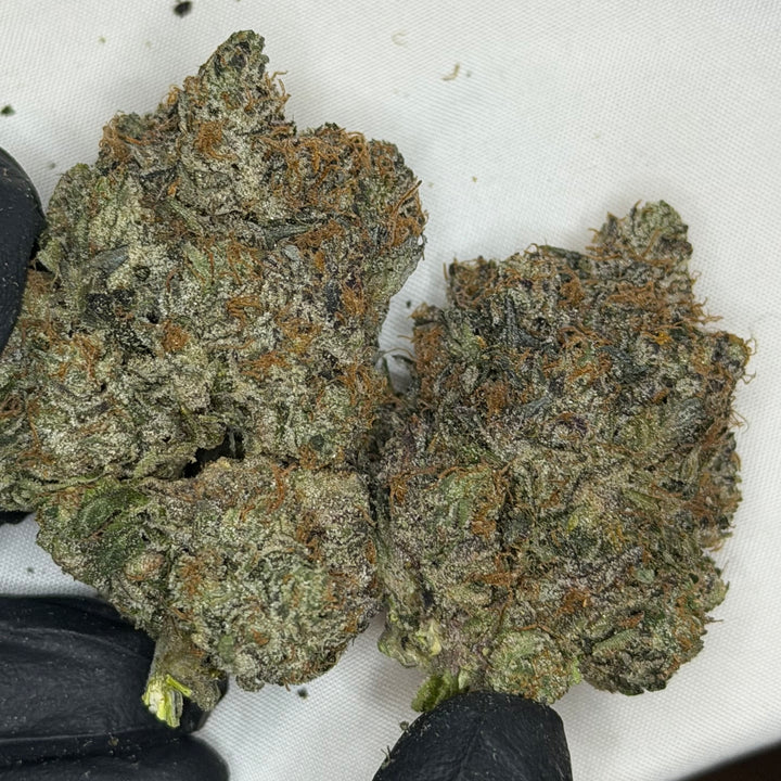 Platinum Snobbery Pink AAAAA indica strain 37% THC – super quads buds – Toronto weed delivery GreenHouseGTA