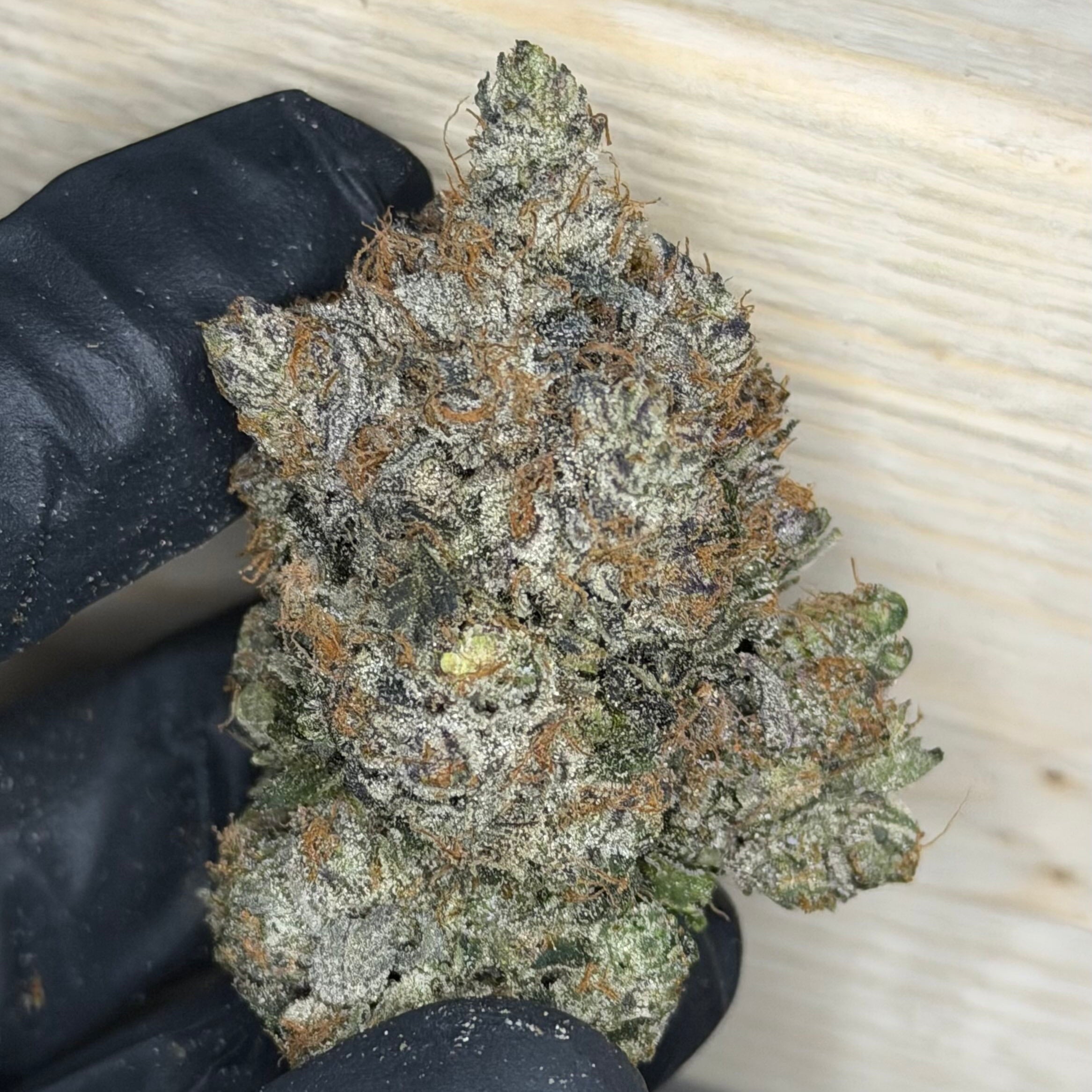 Platinum Snobbery Pink cannabis buds close-up – platinum trichome frost – AAAA gas indica Toronto