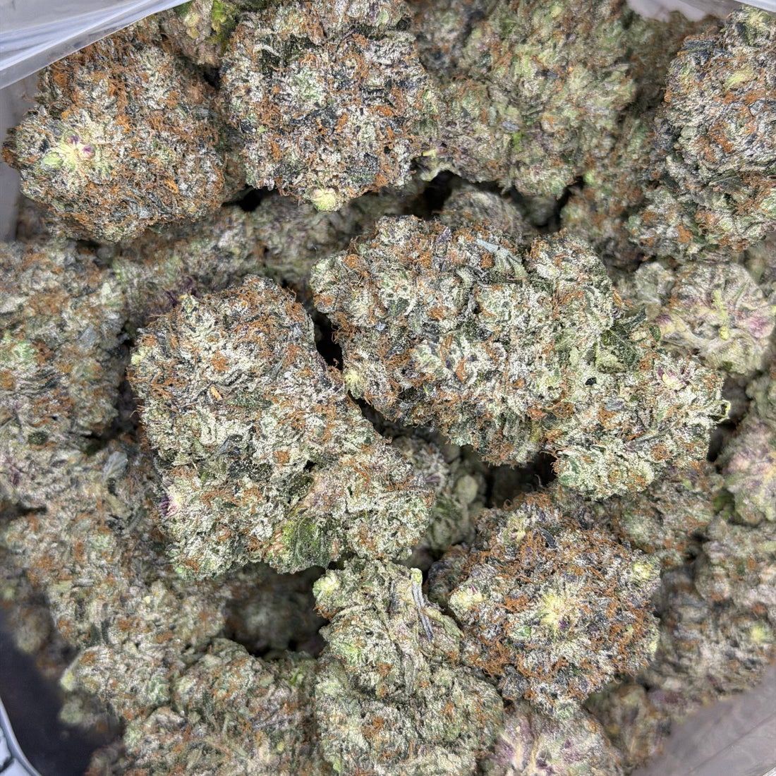 Platinum Snobbery Pink top-shelf indica flower – dense frosty buds – same-day weed delivery Toronto