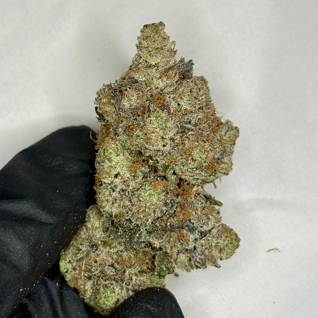 Prada Pink AAAAA Indica 38% THC – luxury gas weed with floral diesel aroma, Toronto weed delivery