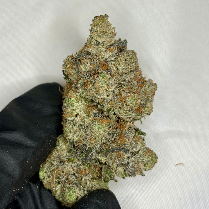 Prada Pink AAAAA Indica 38% THC – luxury gas weed with floral diesel aroma, Toronto weed delivery