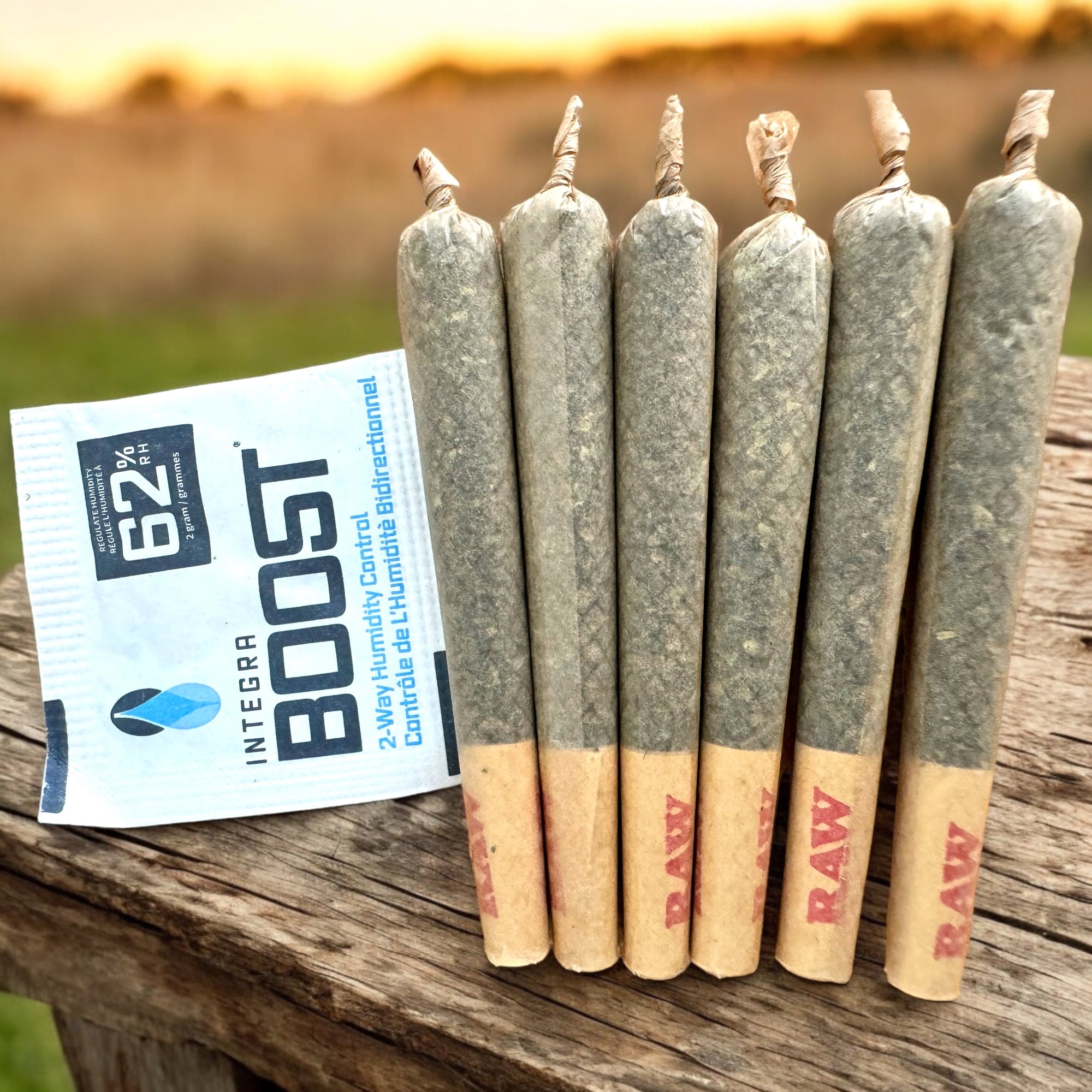 Close-up Pineapple Express Premium Exotic Pre-Rolls – AAAA exotic cannabis joints – 31% THC – 6 pack – same-day Toronto Scarborough North York GTA delivery – GreenHouseGTA
