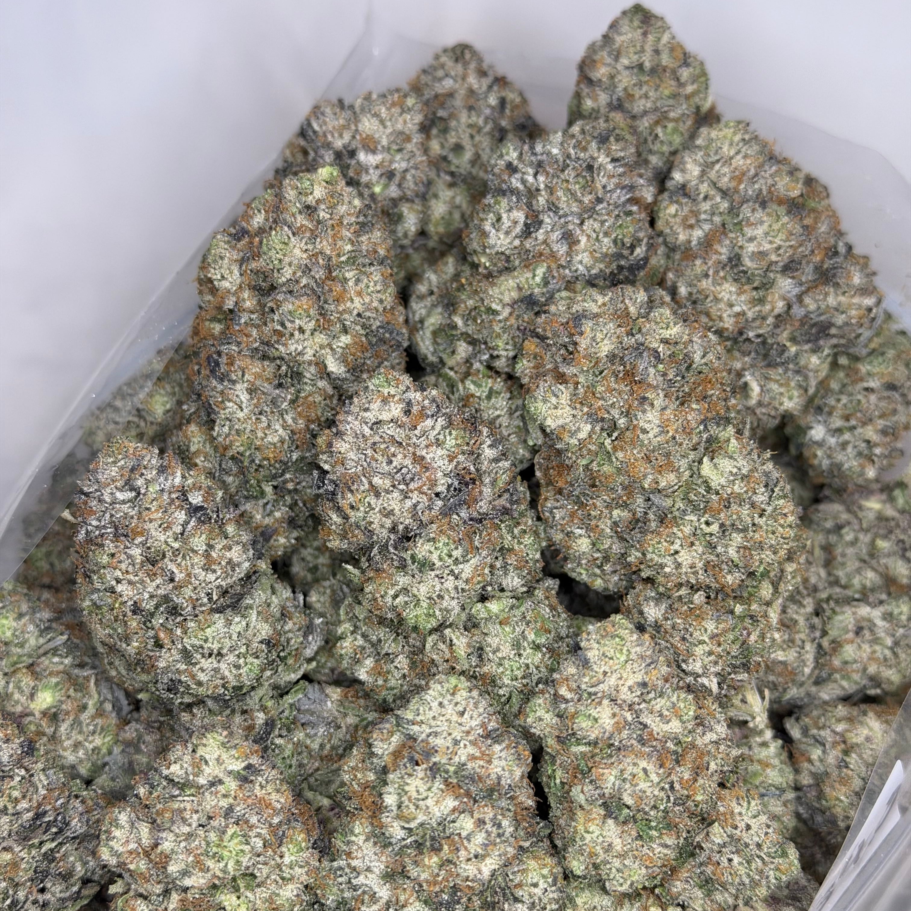 Premium Raspberry Skywalker hybrid flower with strong nose and white ash burn