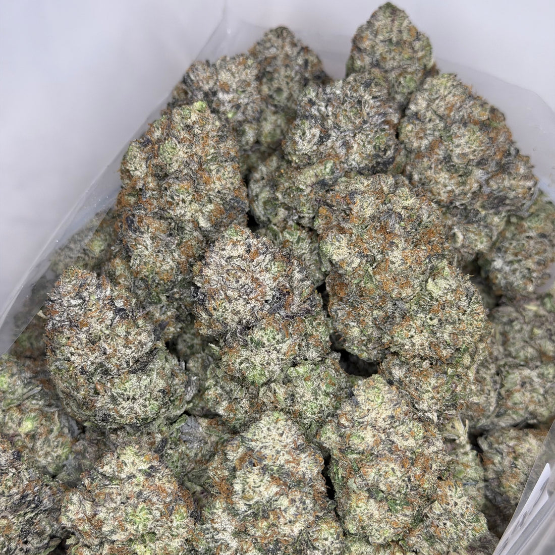 Premium Raspberry Skywalker hybrid flower with strong nose and white ash burn