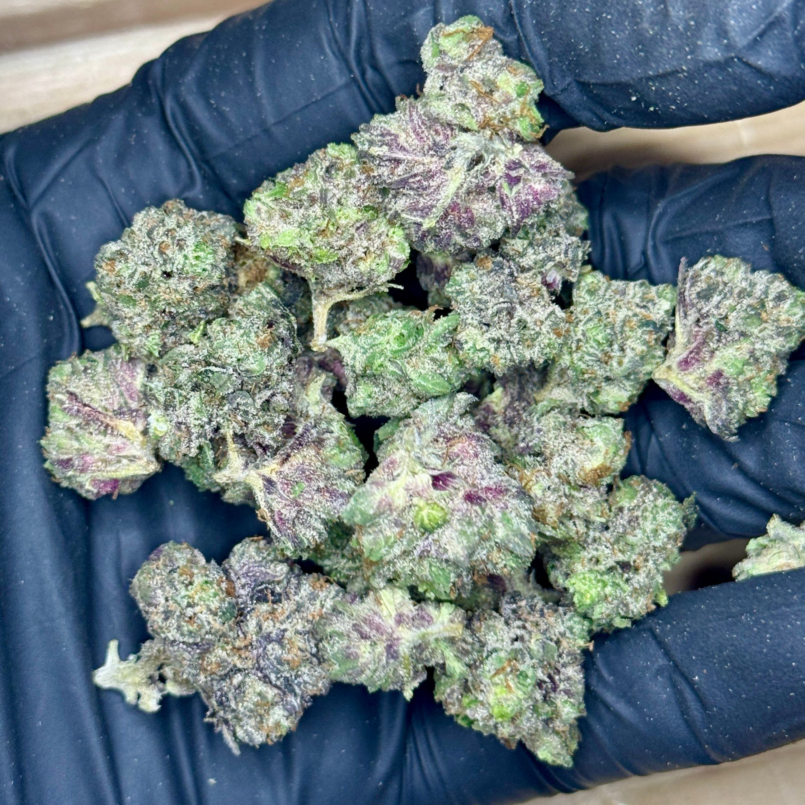 Project Pink Quads Small Popcorn AAAAA Indica – 37% THC – Frosty Purple-Green Buds Held in Black Glove – Toronto Weed Delivery