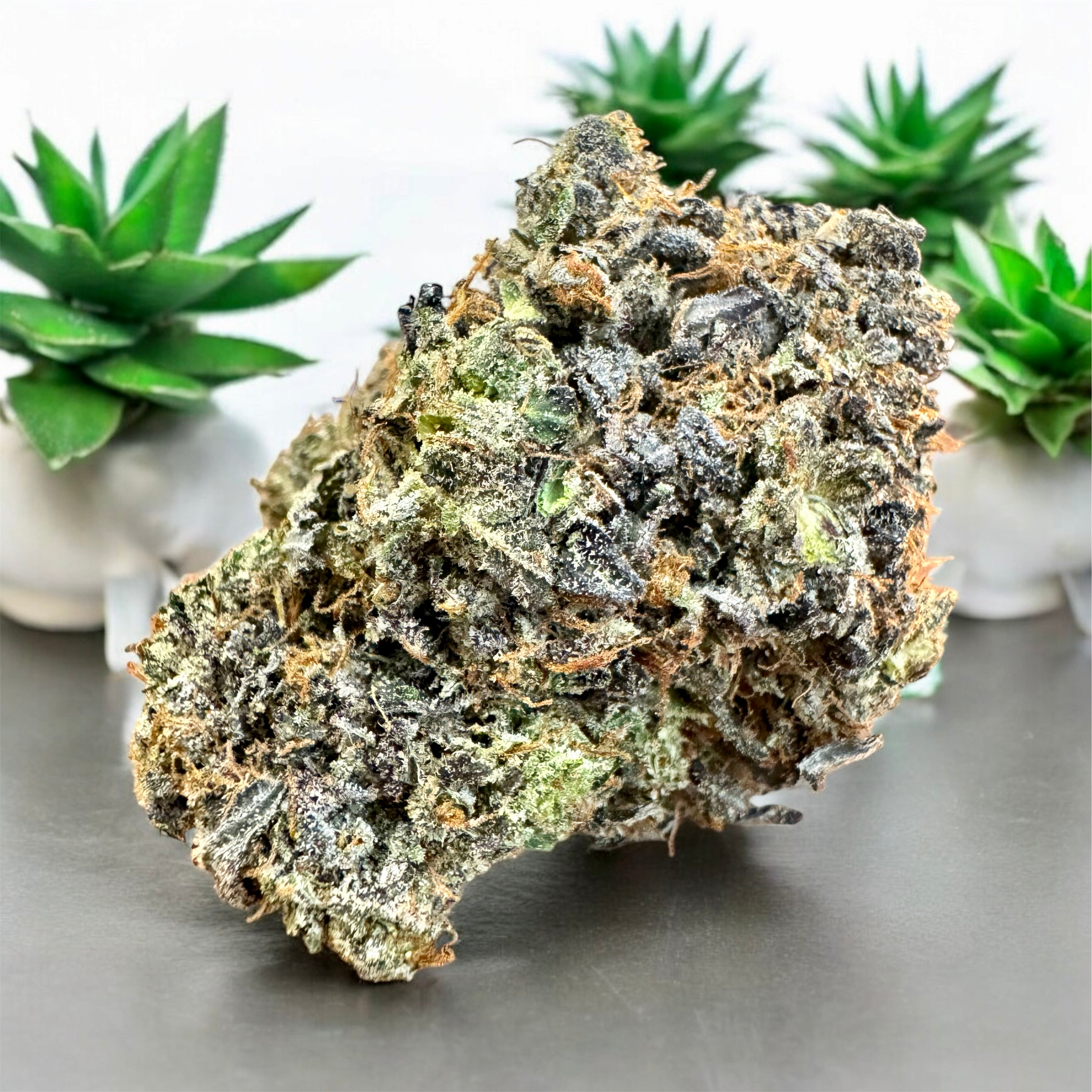 Purple Coconut strain AAAA+ pure indica 35% THC – sticky purple crystal cannabis bud Toronto weed delivery