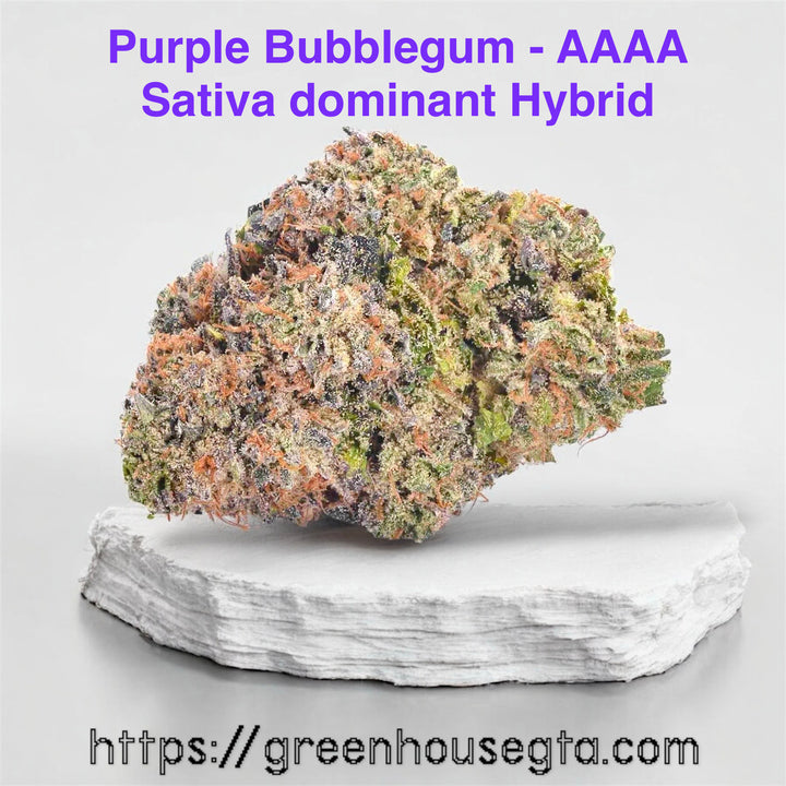 Purple Bubblegum AAAA Luxury Sativa Hybrid – sweet gas blueberry candy buds with purple orange trichomes | 32% THC premium flower – 30% OFF Weekend Fire Deal Toronto | GreenHouseGTA