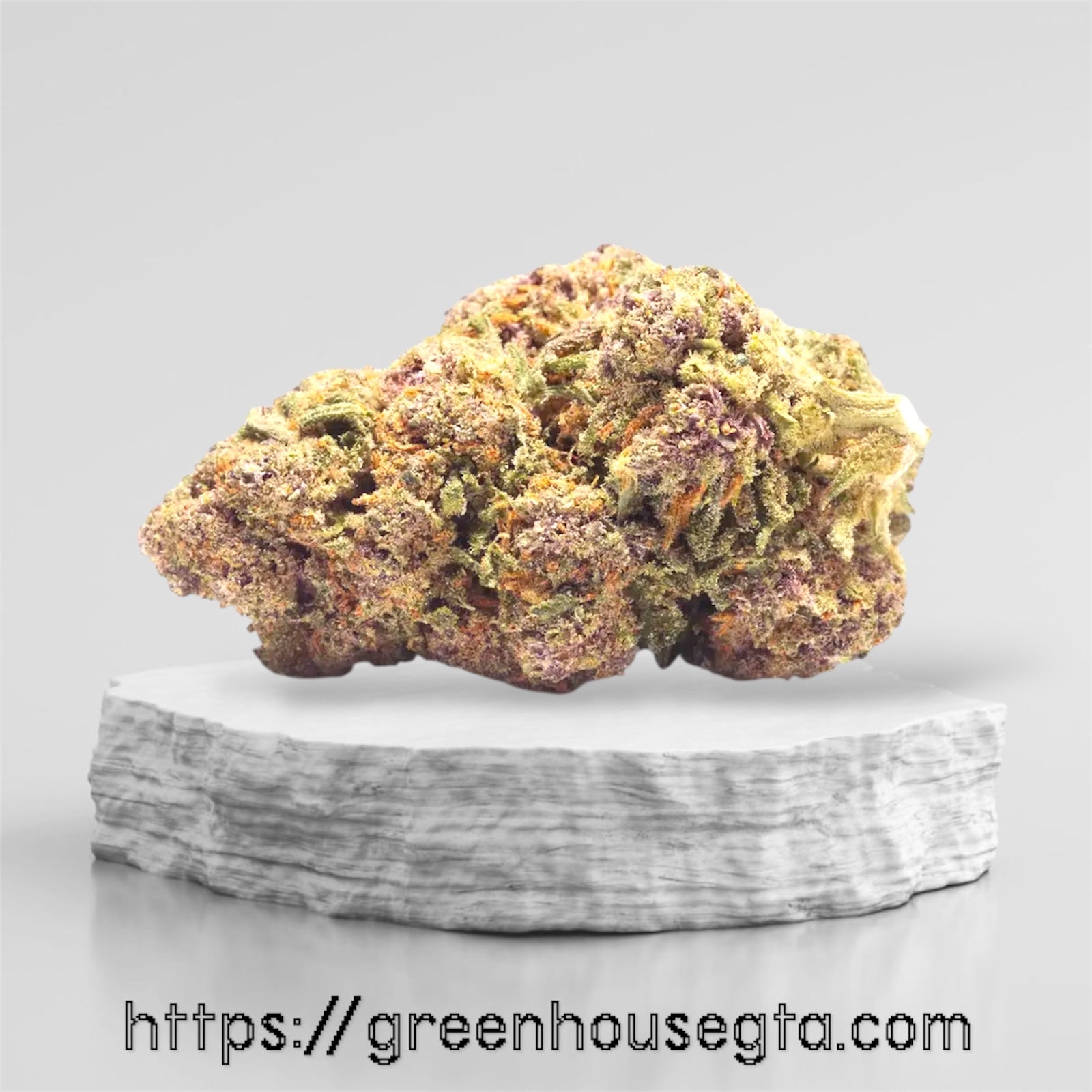 Purple Champagne AAA+ sativa cannabis bud – 30% THC 1% CBD – purple and green frosty flower on marble slab – $140/oz Toronto weed delivery