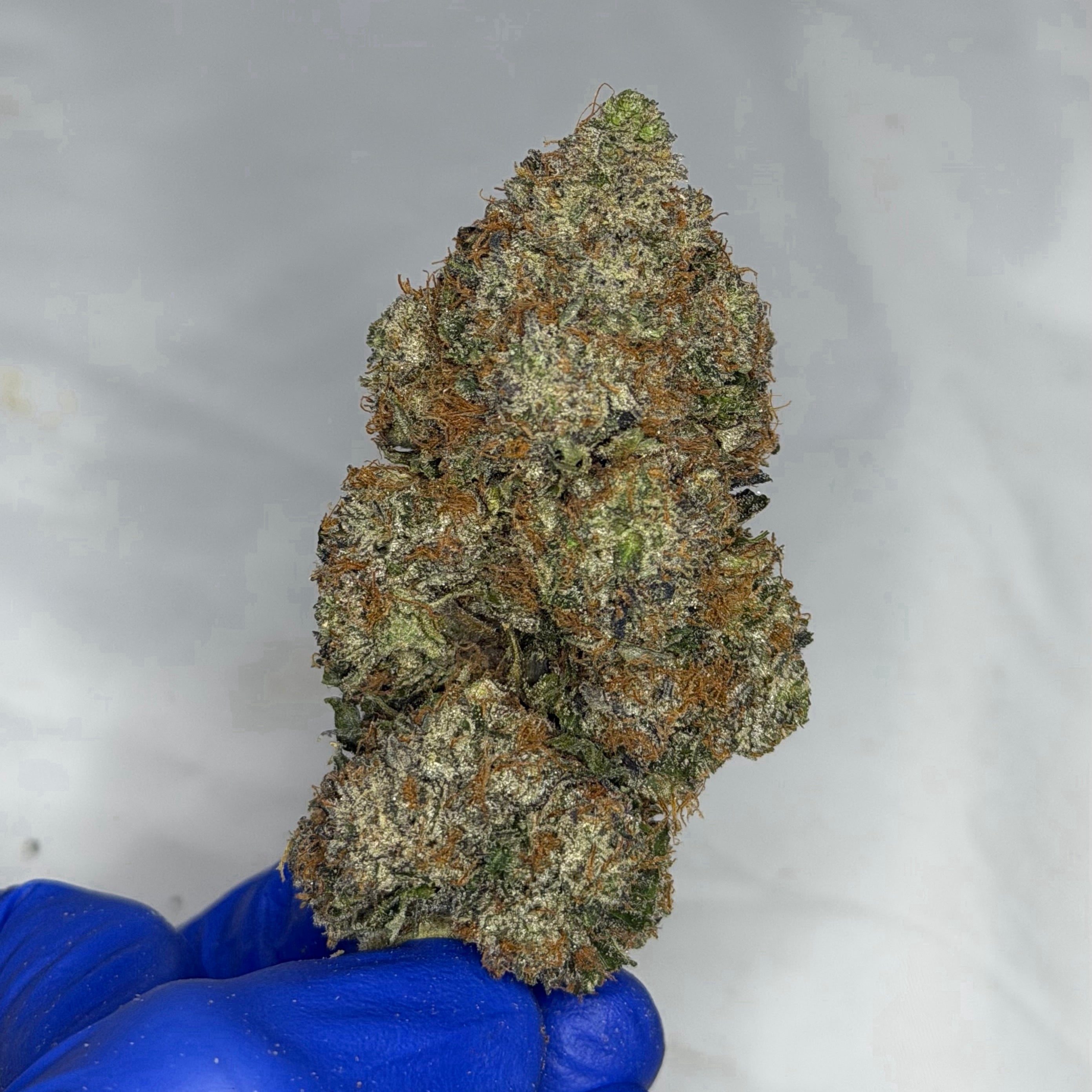 Purple Menace ALL PRODUCTS FLOWERS INDICA