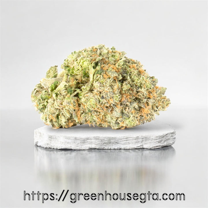 Raptor Kush AAAA Hybrid flower 32% THC – premium weed delivery Toronto - greenhousegta