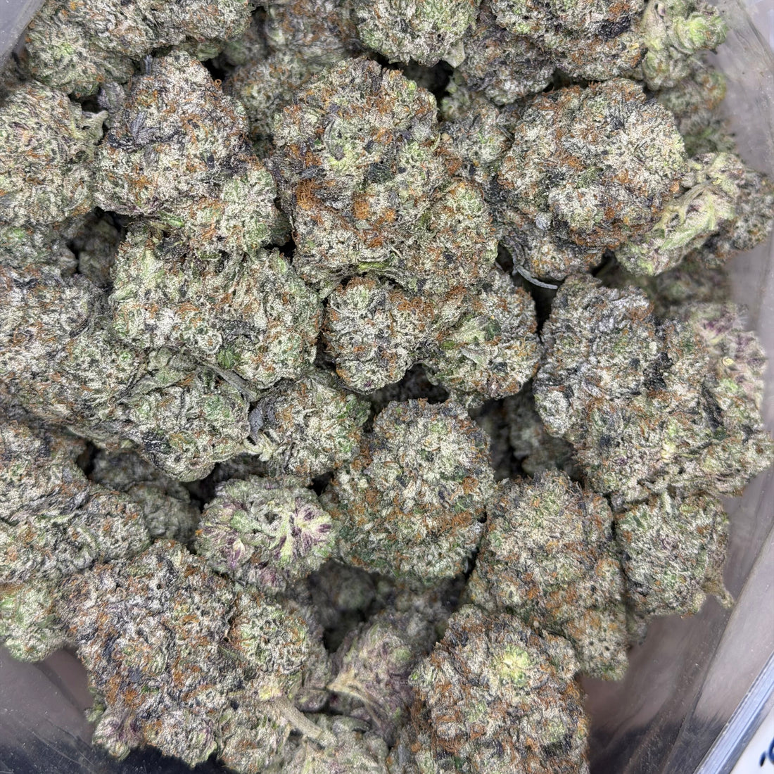 Raspberry Skywalker AAAAA hybrid buds – clean burn gas strain available in Toronto