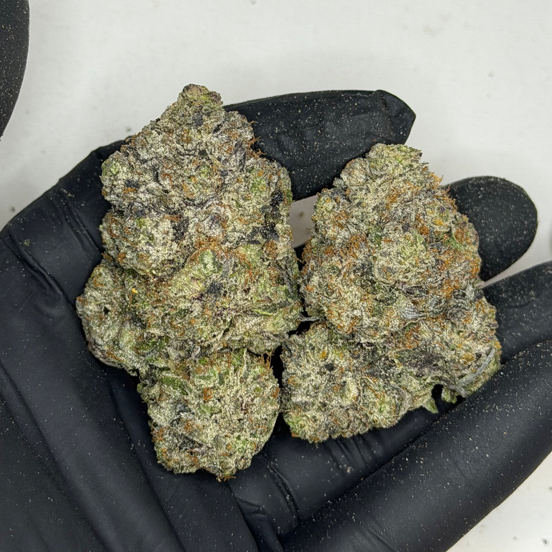 Raspberry Skywalker AAAAA hybrid flower with dense frosty buds – premium weed delivery Toronto