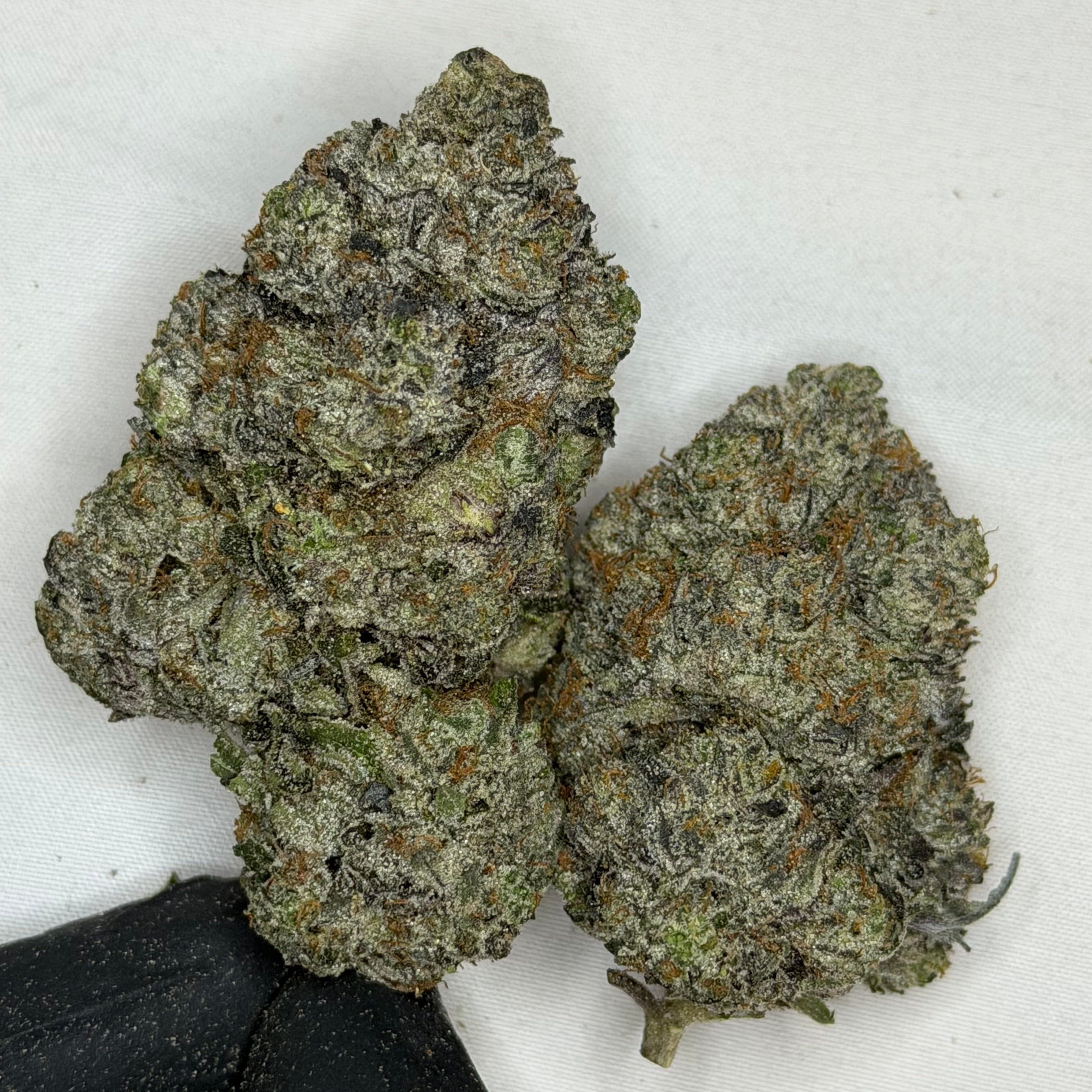 Raspberry Skywalker super quads hybrid showing heavy trichomes and clean structure