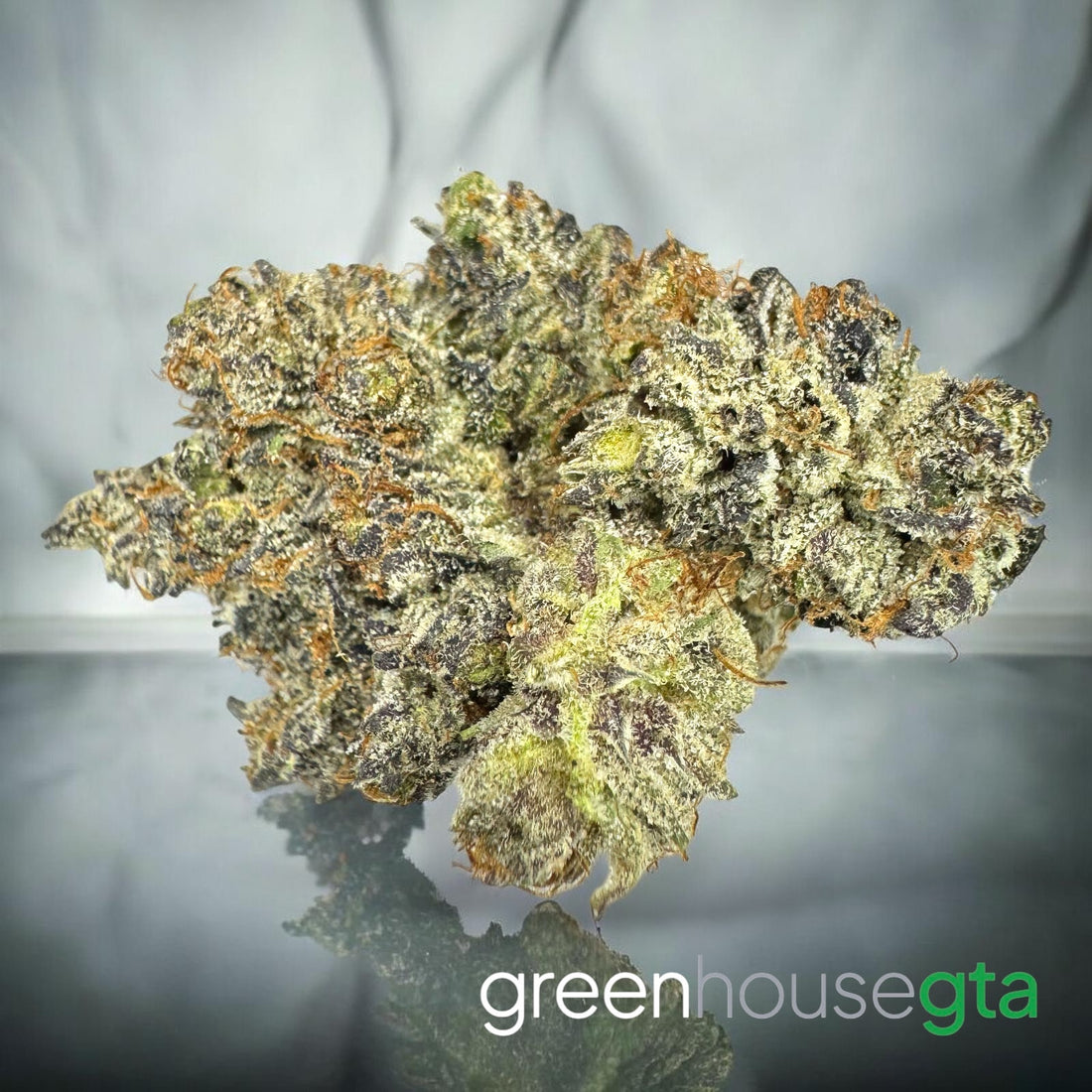 Scary Night Light premium AAAA hybrid gas bud smooth terpene rich cannabis Toronto