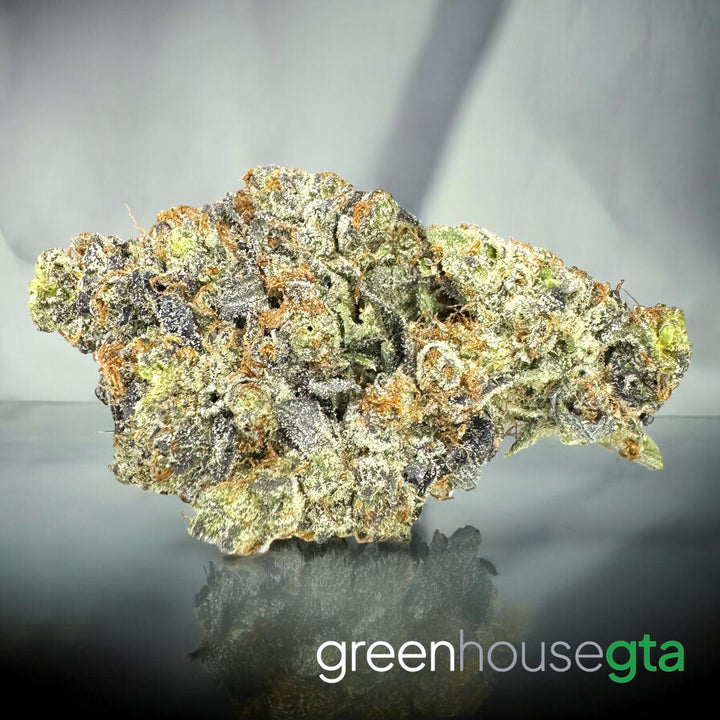 Scary Night Light AAAA Hybrid smooth heavy gas flower 33 percent THC weed delivery Toronto