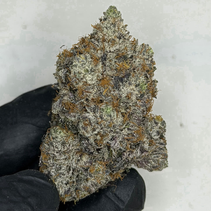 Scottie Pippen #33 AAAAA Hybrid dense frosty buds with cherry citrus and Biscotti terpenes