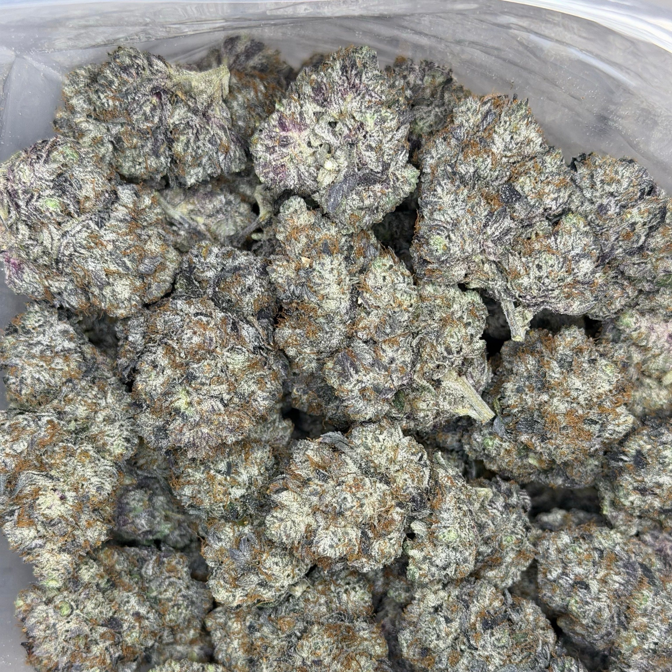 Scottie Pippen #33 AAAAA Hybrid dense frosty buds with cherry citrus and Biscotti terpenes
