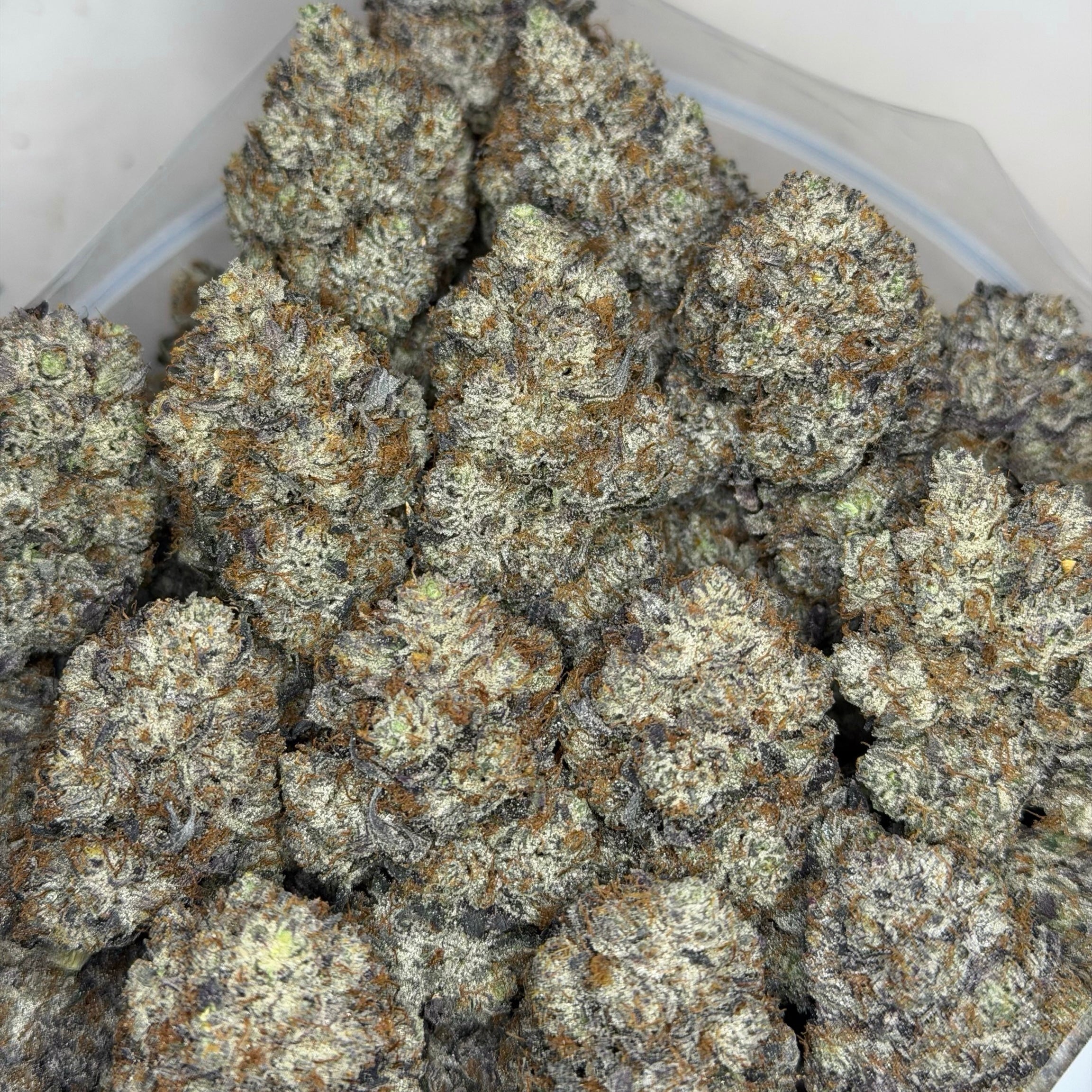 Scottie Pippen #33 AAAAA Hybrid heavy trichome coverage premium craft flower with orange pistils
