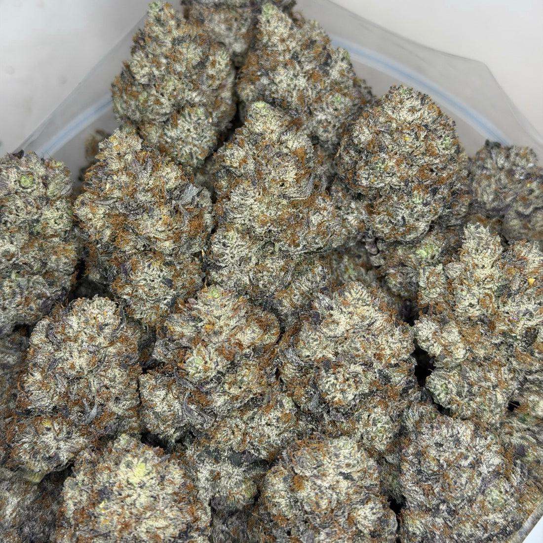 Scottie Pippen #33 AAAAA Hybrid heavy trichome coverage premium craft flower with orange pistils