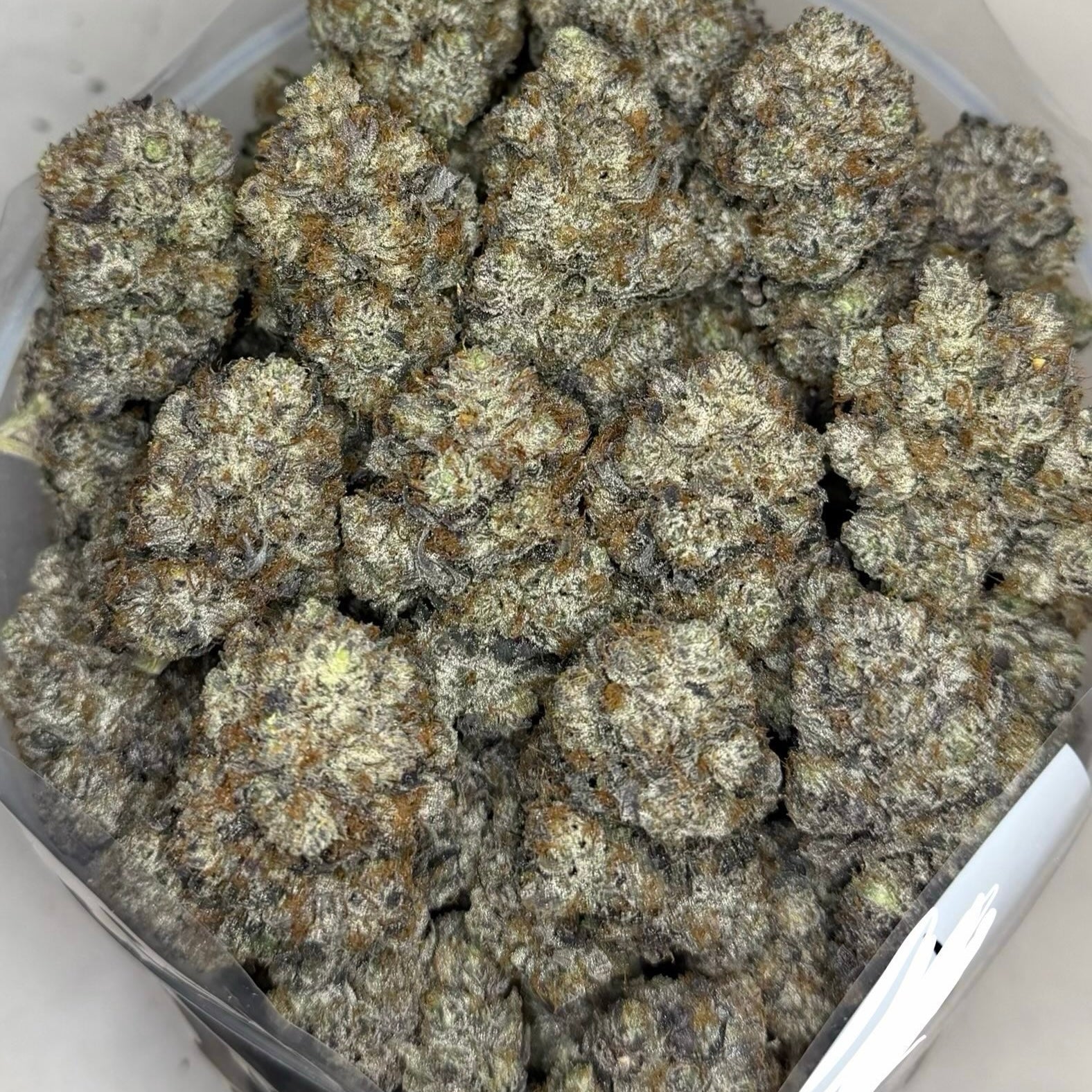 Scottie Pippen #33 AAAAA Hybrid large sticky buds with Lemon Cherry Gelato and Biscotti genetics