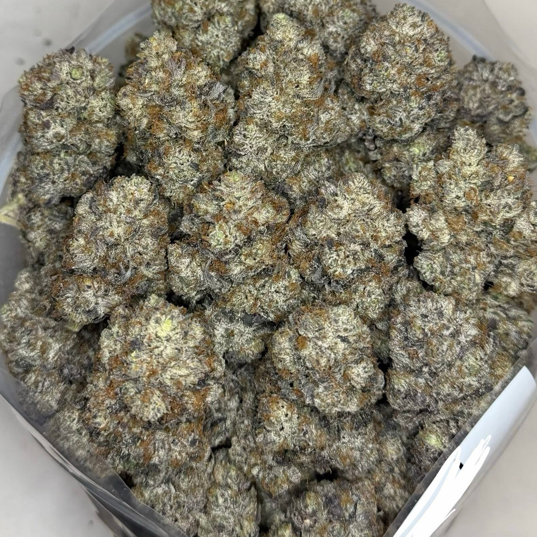 Scottie Pippen #33 AAAAA Hybrid large sticky buds with Lemon Cherry Gelato and Biscotti genetics