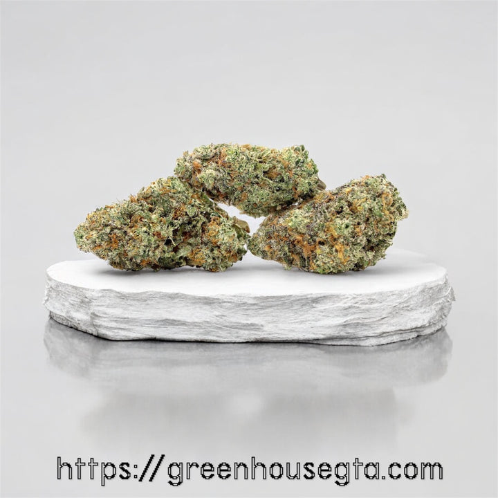SoCal Kerosene AAAA+ Sativa flower 33% THC – premium weed delivery Toronto
