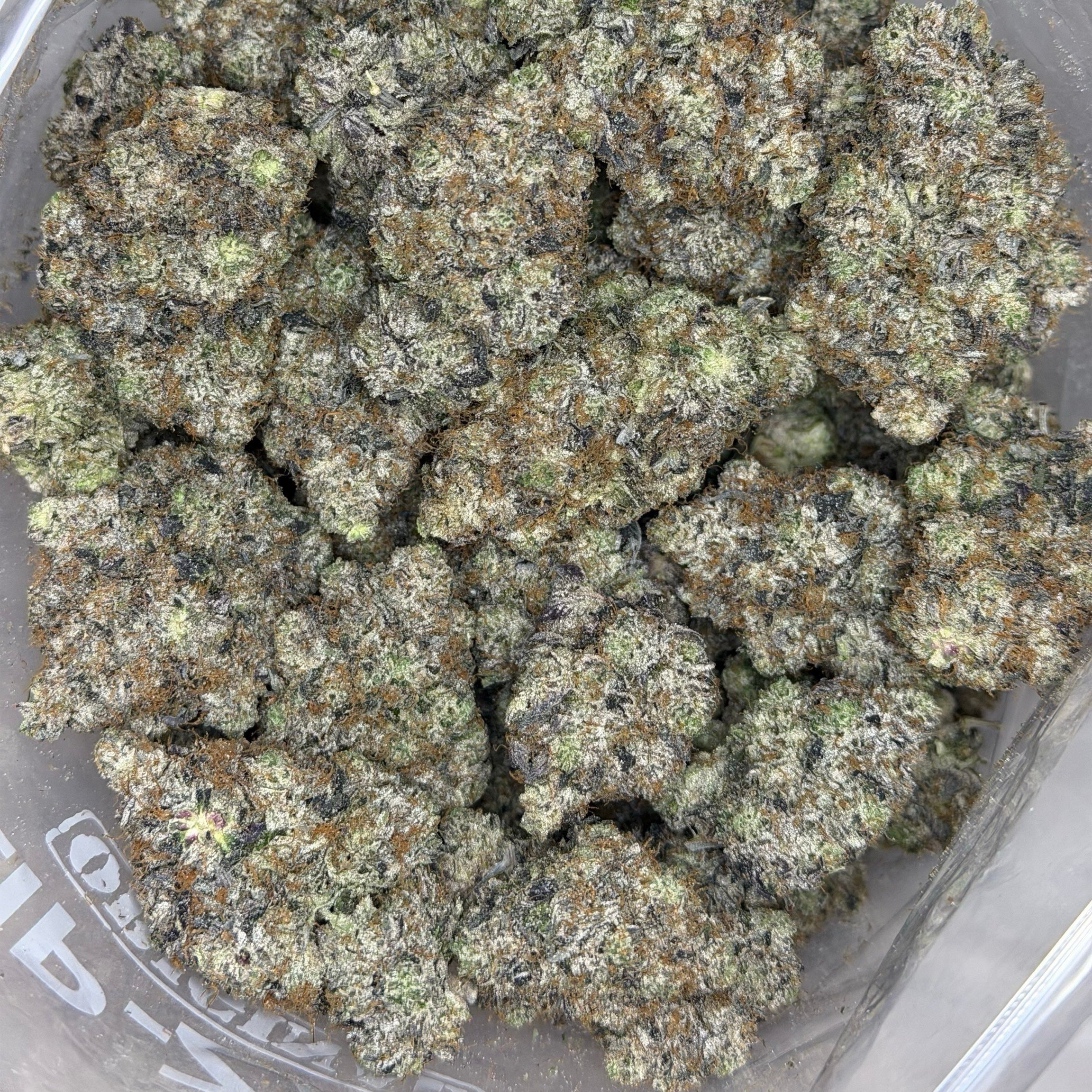 Sour Jamaican Lime Pink 39 THC premium indica cannabis flower crystal covered buds Toronto Canada