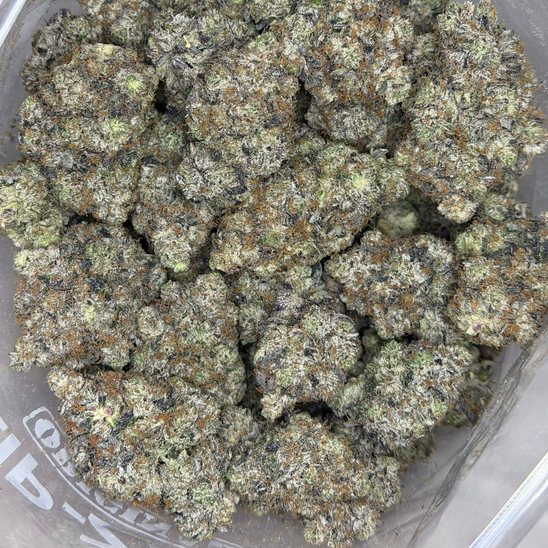 Sour Jamaican Lime Pink 39 THC premium indica cannabis flower crystal covered buds Toronto Canada