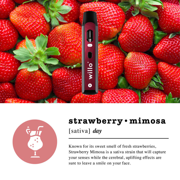 Strawberry Mimosa Disposable - Willo ALL PRODUCTS VAPES