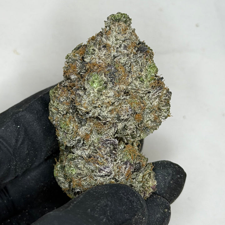 Super Goo AAAAA hybrid indica flower with heavy gas trichomes and dark purple tones – Toronto weed delivery