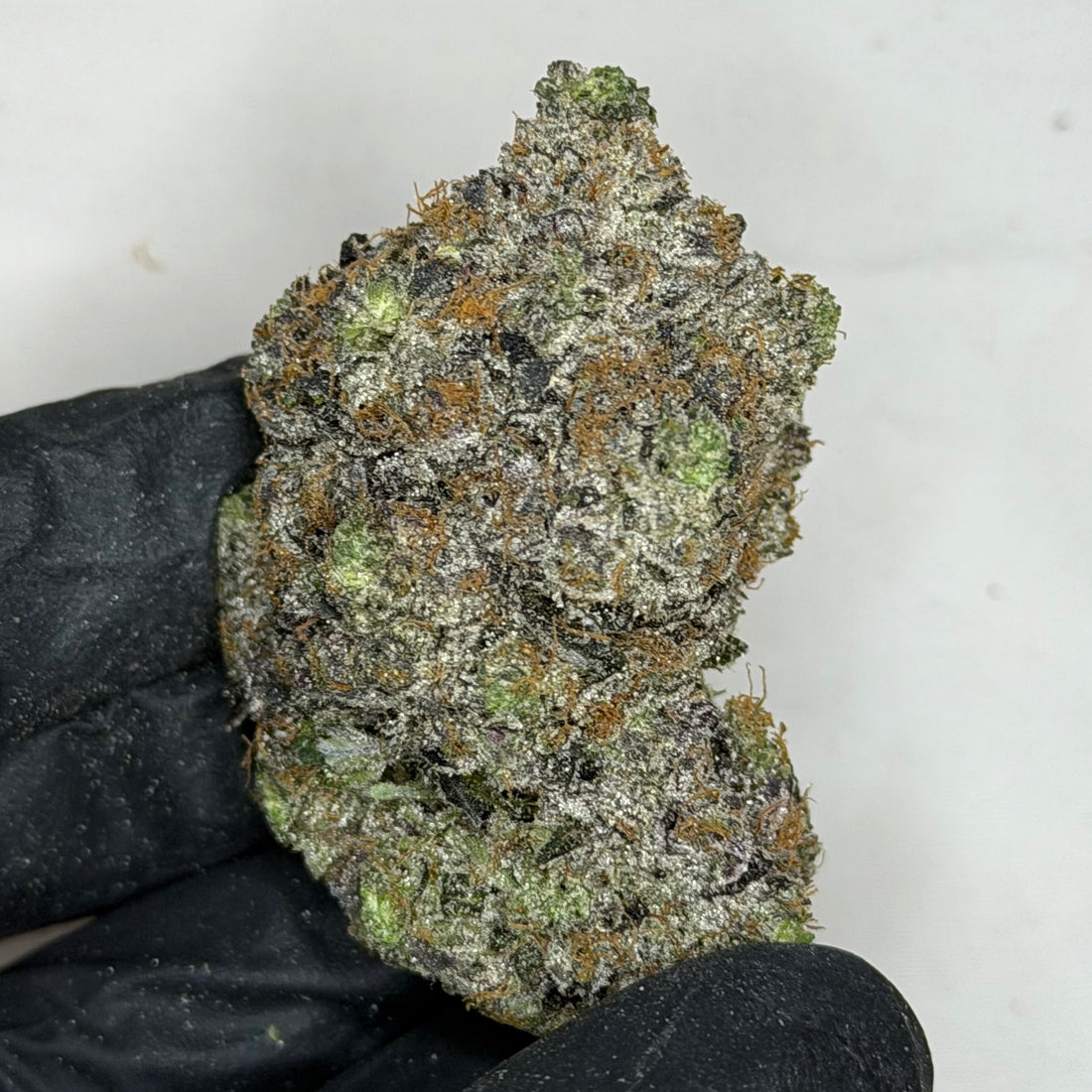 Super Goo super quads cannabis bud showing dense structure, strong gas resin, and frosty crystals