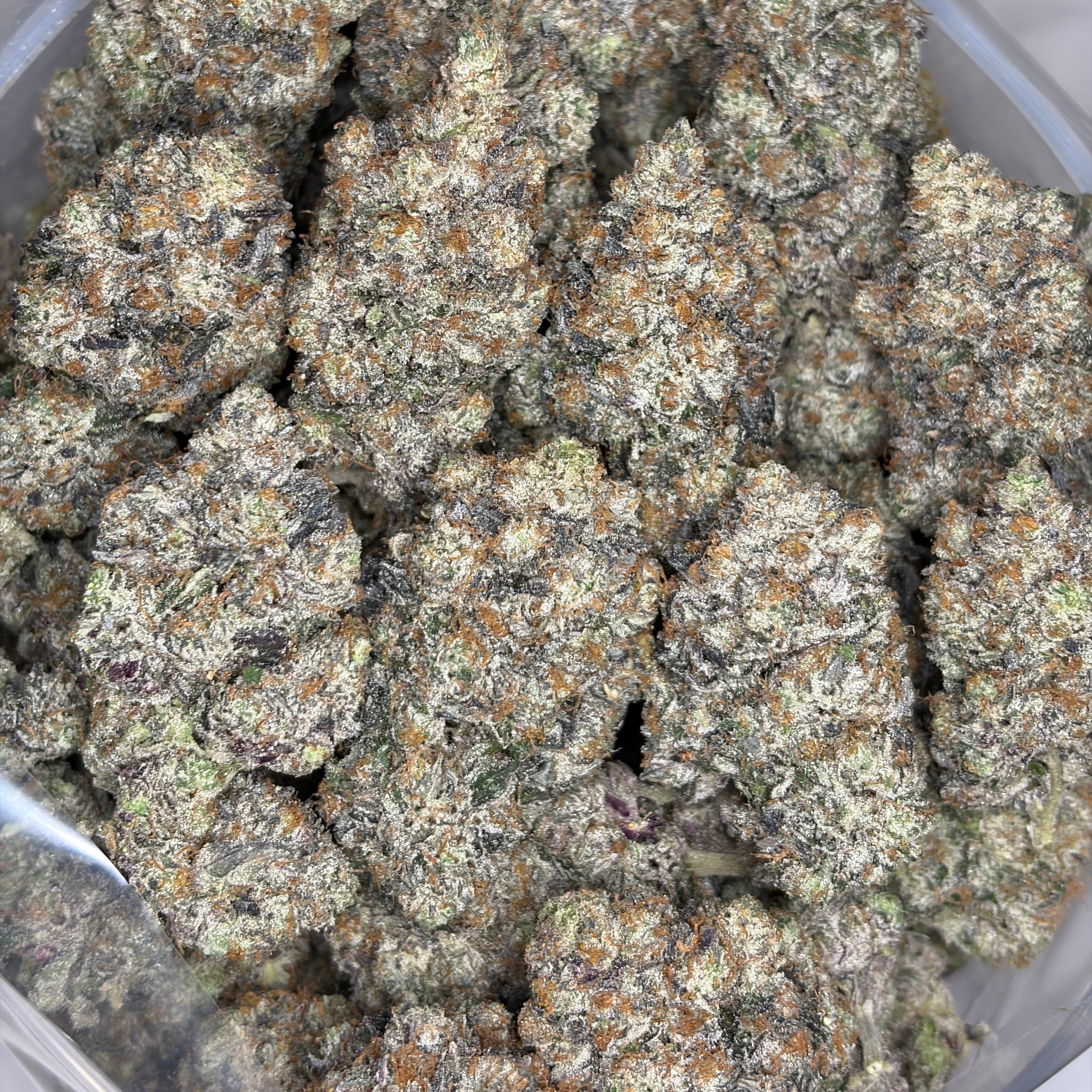 Super Goo LSO medium dense buds in jar – exotic hybrid gas strain grown in Living Soil Organic Toronto