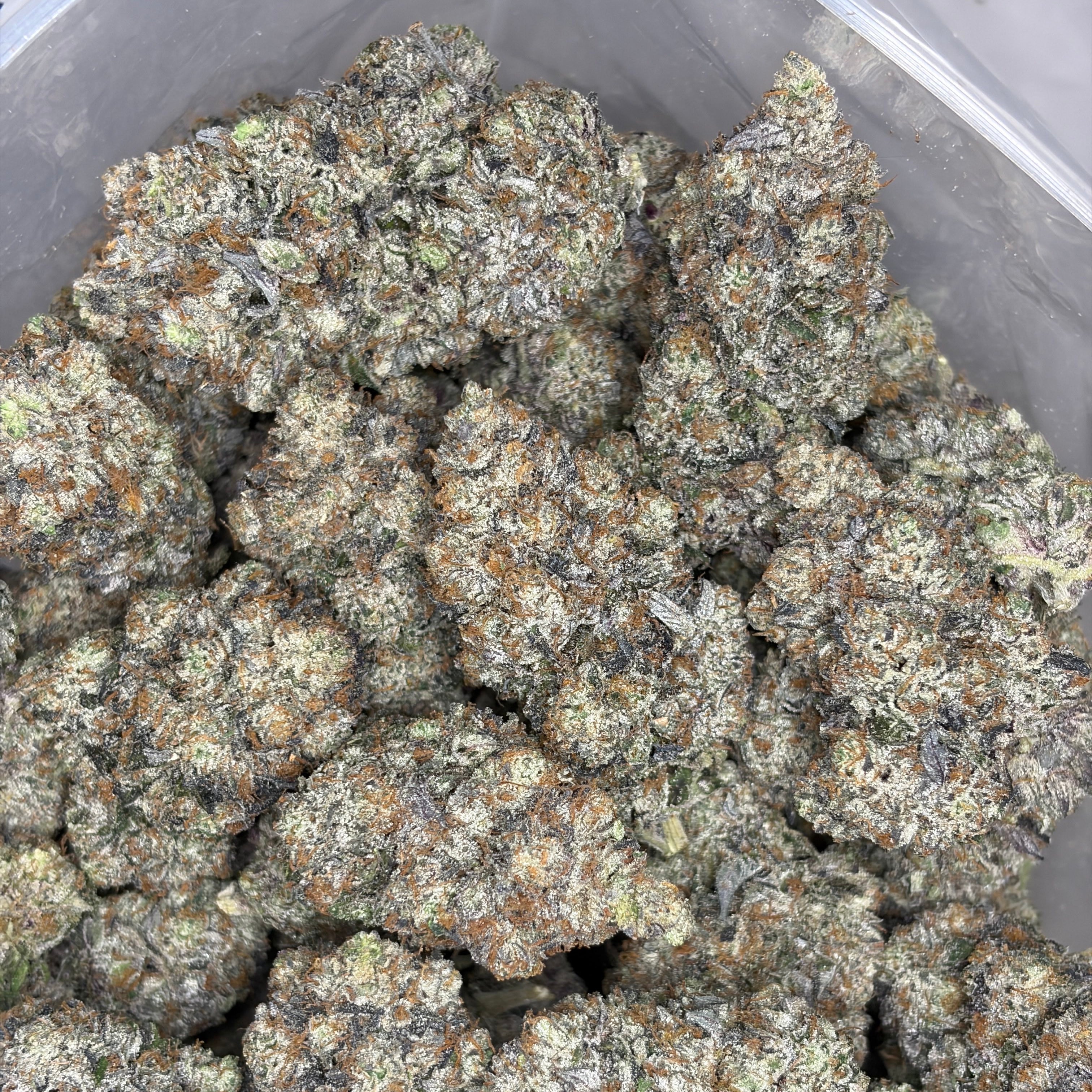 Super Goo LSO large batch buds – exotic gas hybrid flower for same-day weed delivery in Toronto & GTA