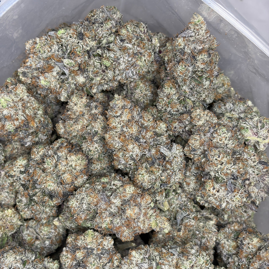 Super Goo LSO large batch buds – exotic gas hybrid flower for same-day weed delivery in Toronto & GTA