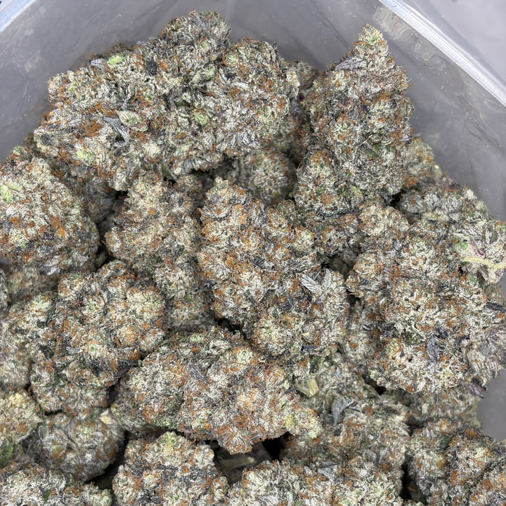 Super Goo LSO large batch buds – exotic gas hybrid flower for same-day weed delivery in Toronto & GTA