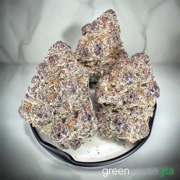 Super Boof Exotic AAA+ sativa cherry bloom buds – exotic weed delivery Toronto