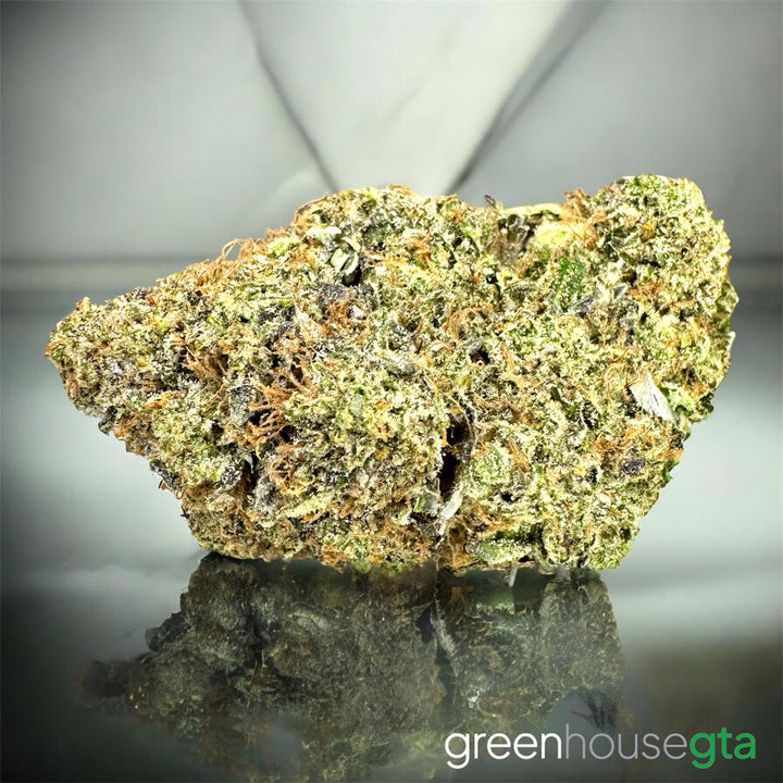 Super Jack Herer AAAA Sativa strain 33 percent THC citrus skunk bud Toronto weed delivery