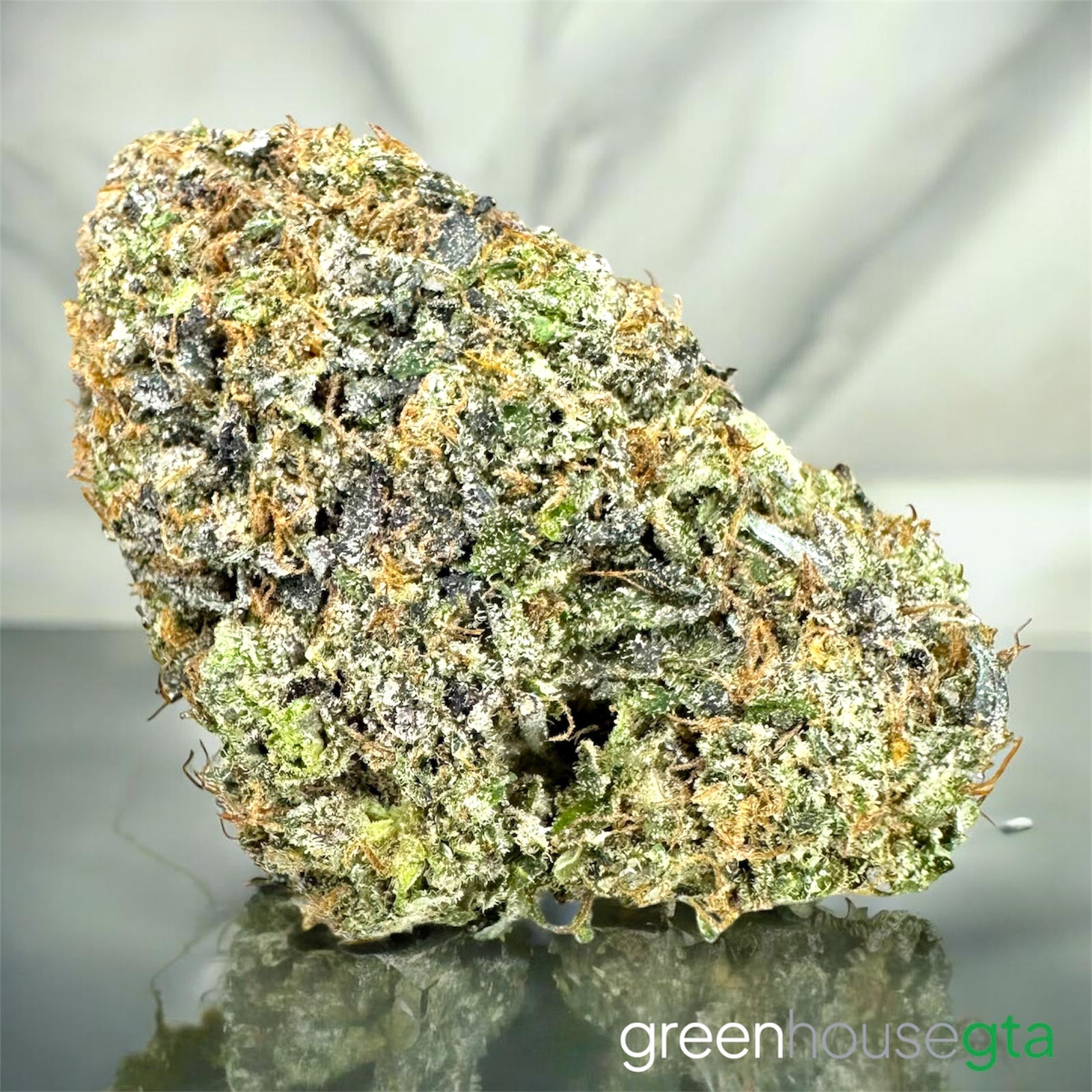 Super Jack Herer premium AAAA sativa bud close-up Toronto cannabis delivery