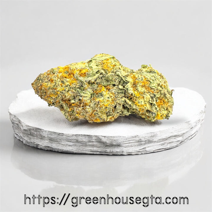 Tangerine Dream AA+ Sativa 27% THC cannabis flower with sweet citrus aroma – Toronto weed delivery by GreenHouseGTA
